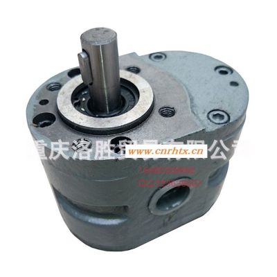 HY01-25*25齿轮油泵磨床液压泵润滑油泵铸铁电动重庆现货