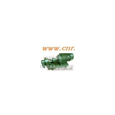 KCB、2CY系列齿轮式抽油泵/齿轮油泵/齿轮泵(不锈钢