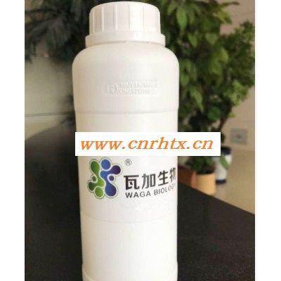 广东专用金属加工液防腐剂全国发货 信息推荐 上海瓦加生物科技供应