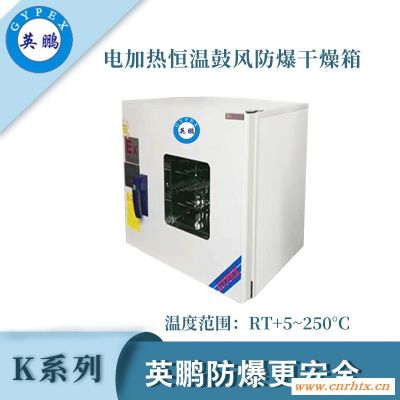天津实验室防爆电热恒温干燥箱